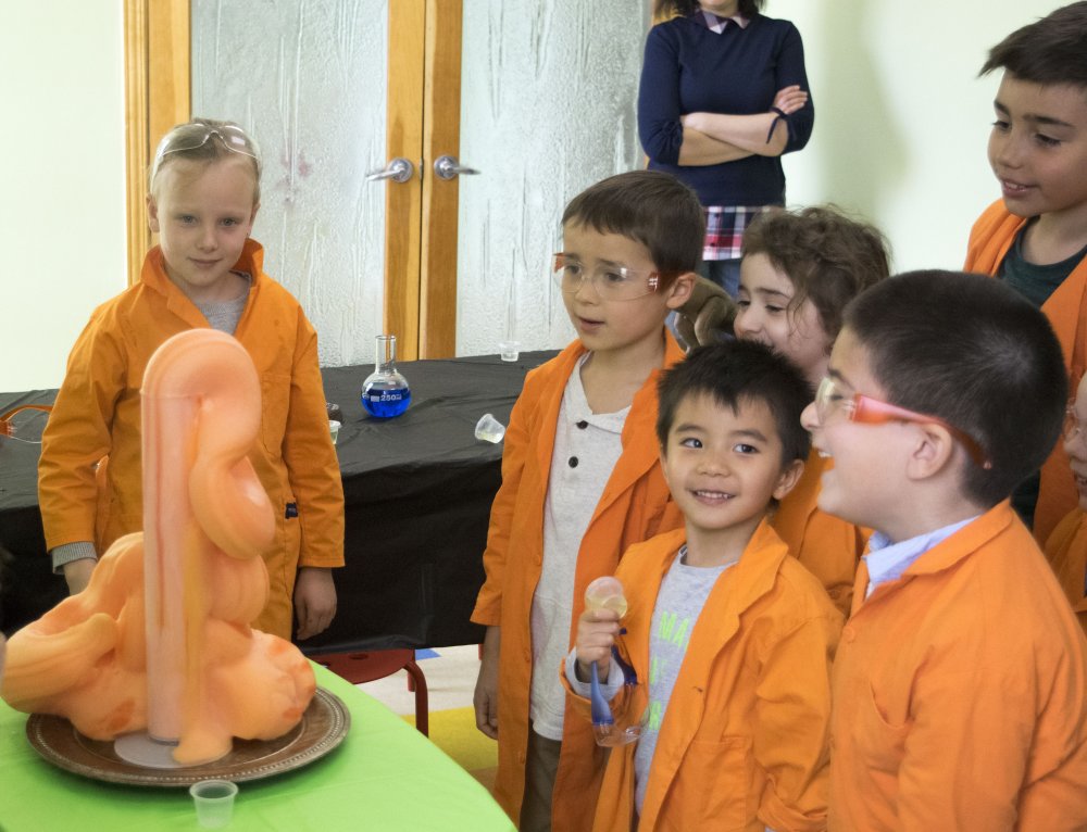 Science Lab Excursion Thrilling Science Field Trips Hosted by Chamelea Science Center